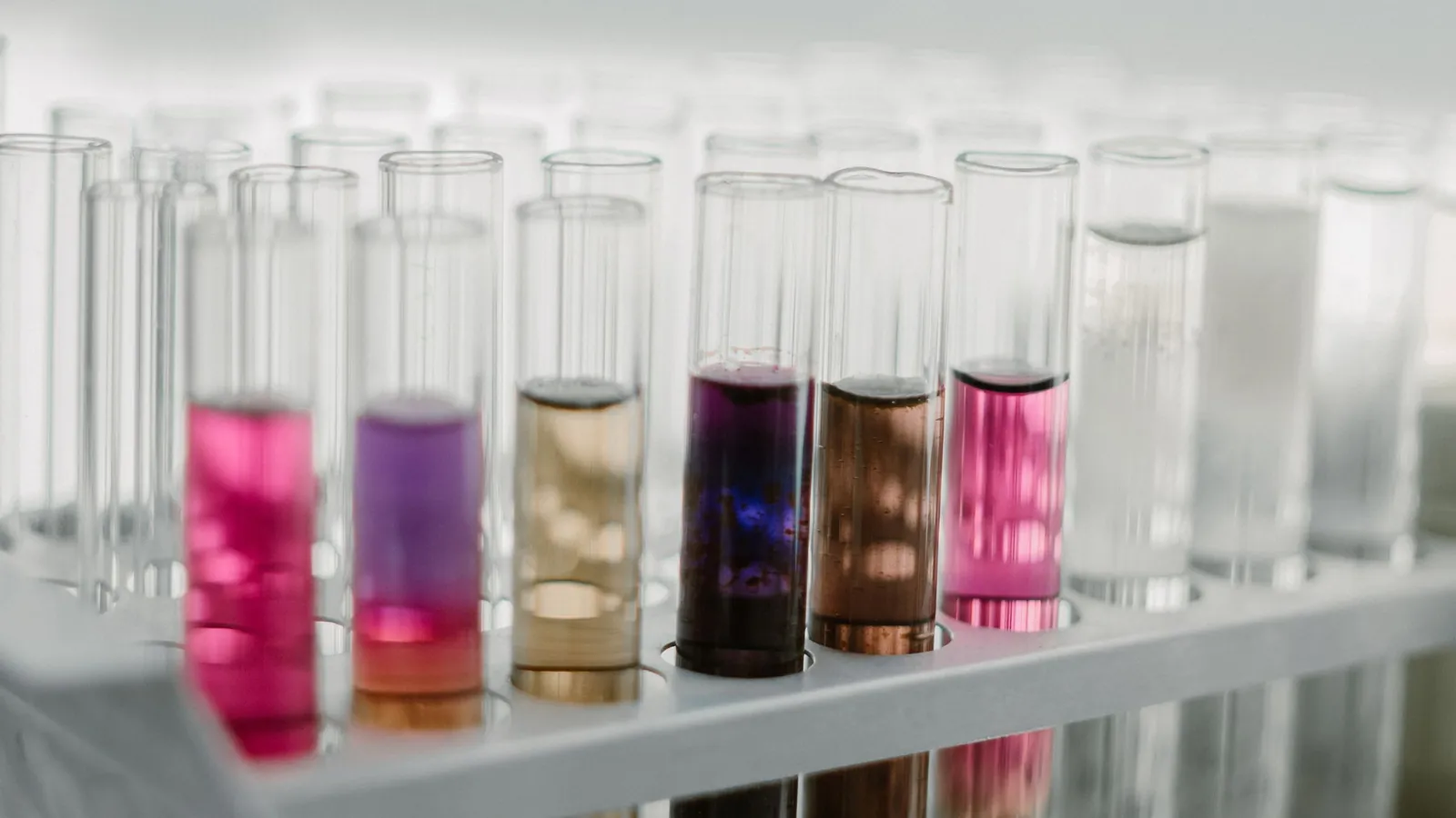 Test tubes filled with colored chemical liquids